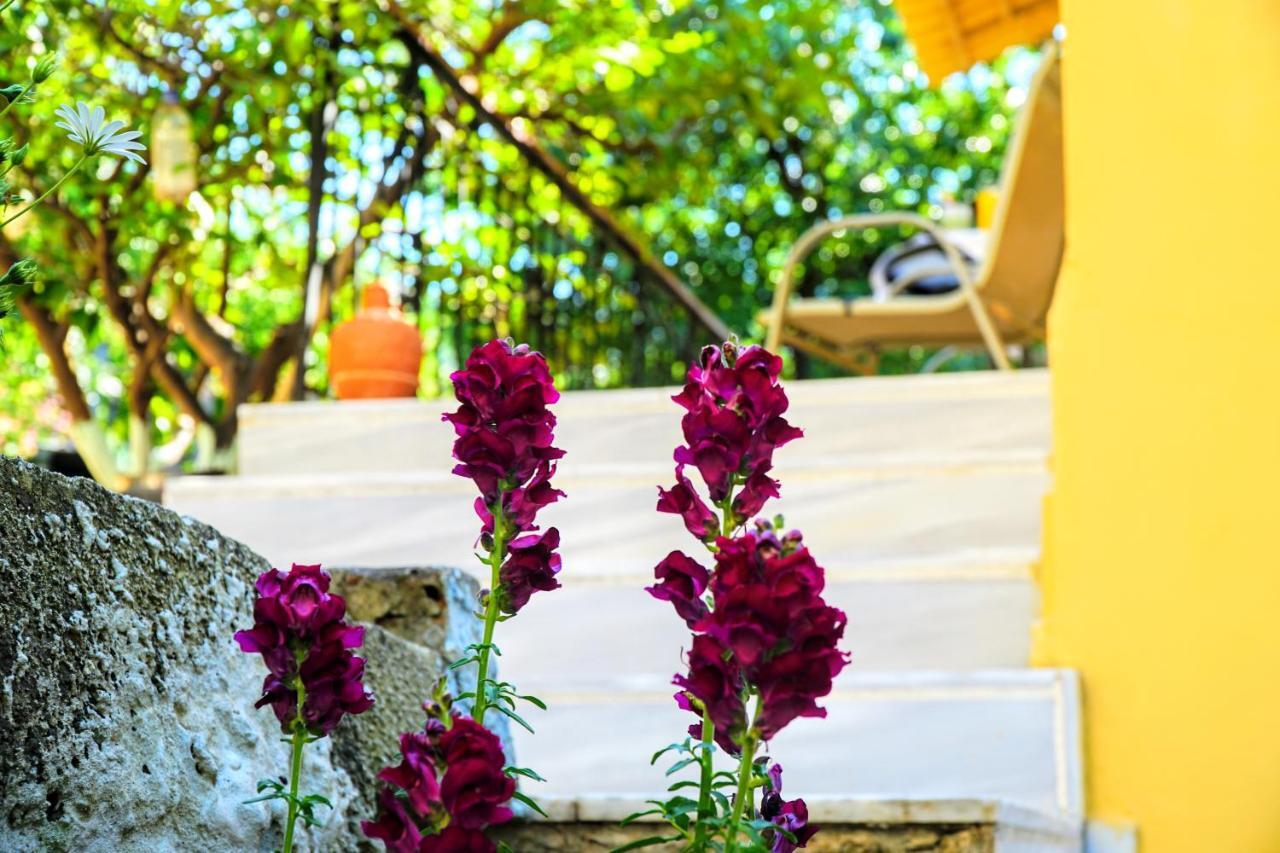 Agnanti House Βίλα Σύμη Εξωτερικό φωτογραφία